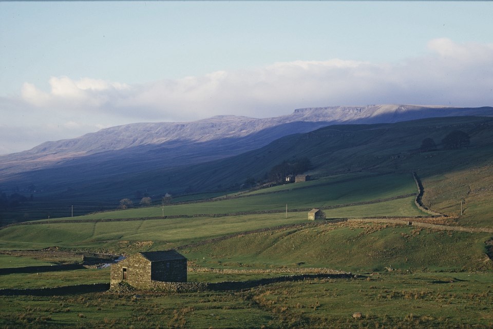 Countryside Stewardship grants soon to open for applications