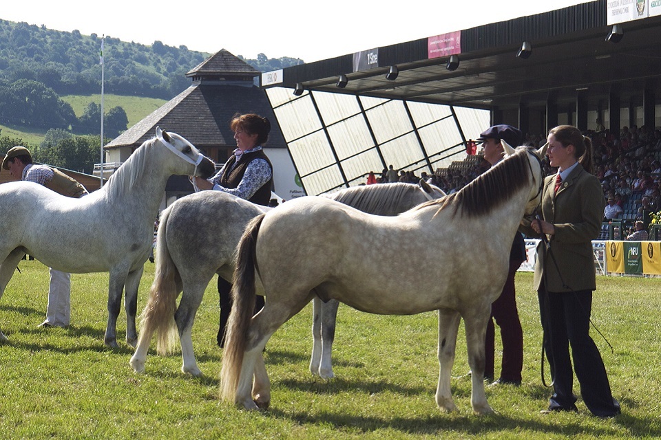 Welsh Secretary pledges to provide stability for Welsh rural economy ...