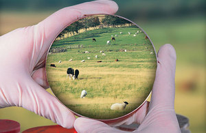 Image of petri dish and field