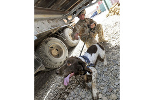 Lance Corporal Chris Emberson and his dog Pip search beneath a flatbed lorry in Lashkar Gah (stock image)