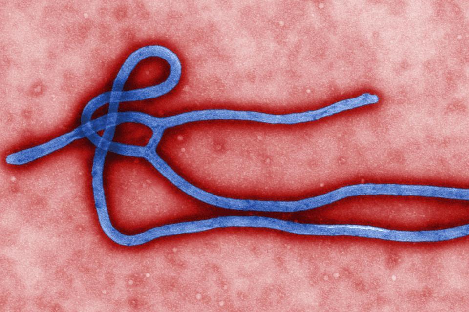 Progress in development of a new Ebola vaccine