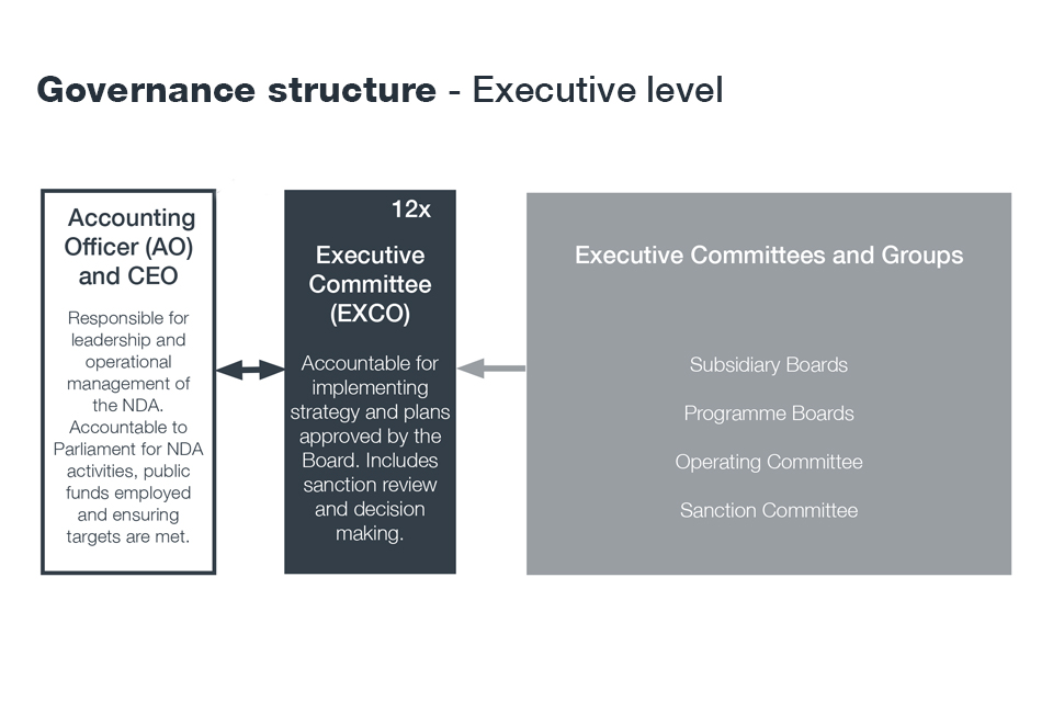 Governance structure - Executive level