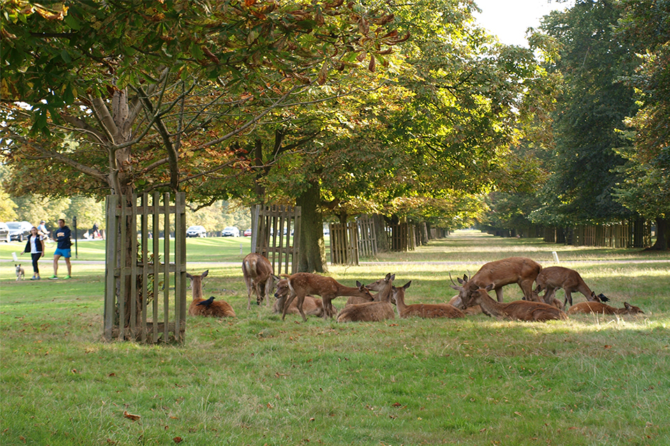 Research projects recognised by Landscape Institute awards 2014