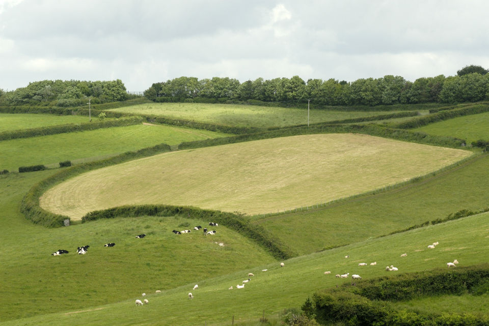 Northumberland to shape the future of farming and rural life