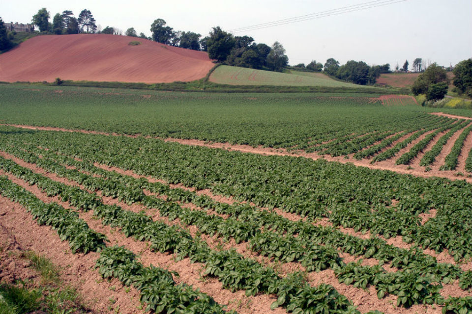 Metaldehyde: Advice for autumn crops