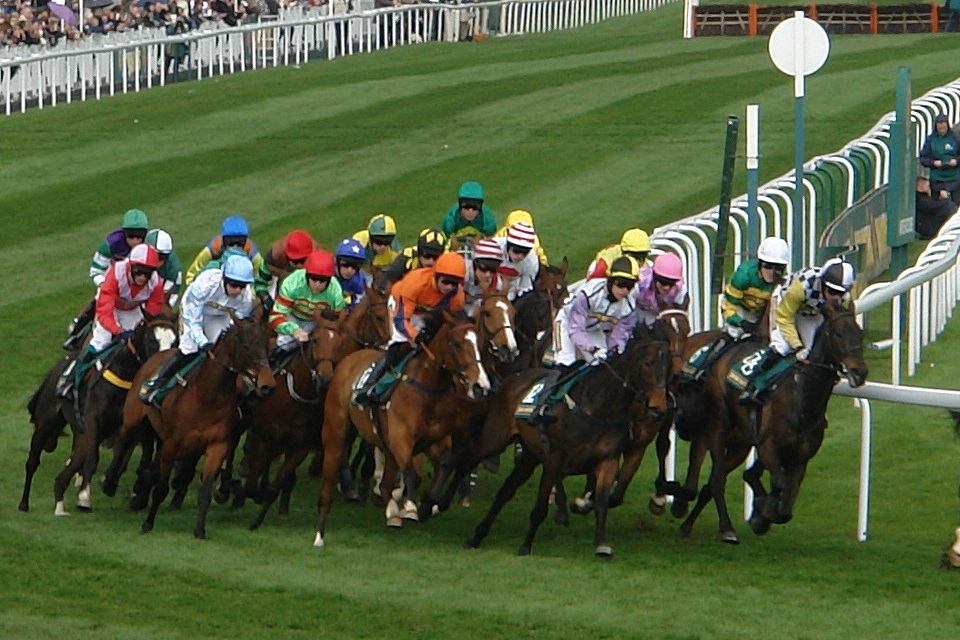Consultation on extending horseracing levy to overseas bookmakers published