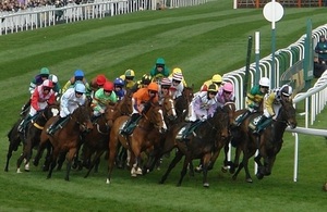 British Horseracing