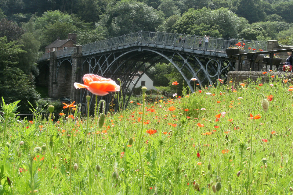 Love Your Rivers Telford secures £100K fund
