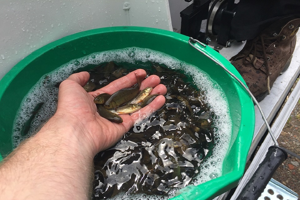 Summer crackdown on illegal fishing