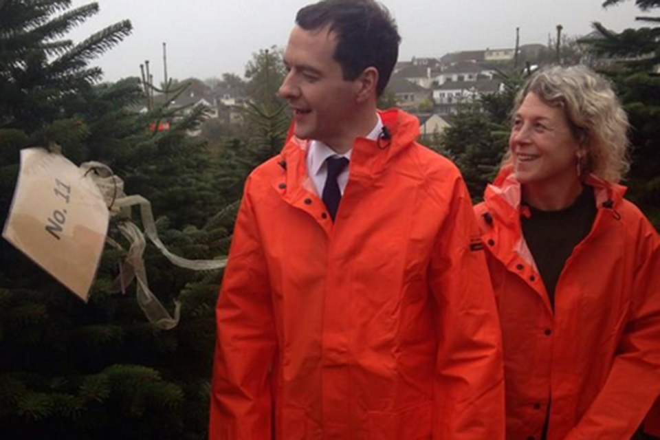Chancellor visits Marldon Christmas Tree Farm to welcome the company’s export and innovation drive