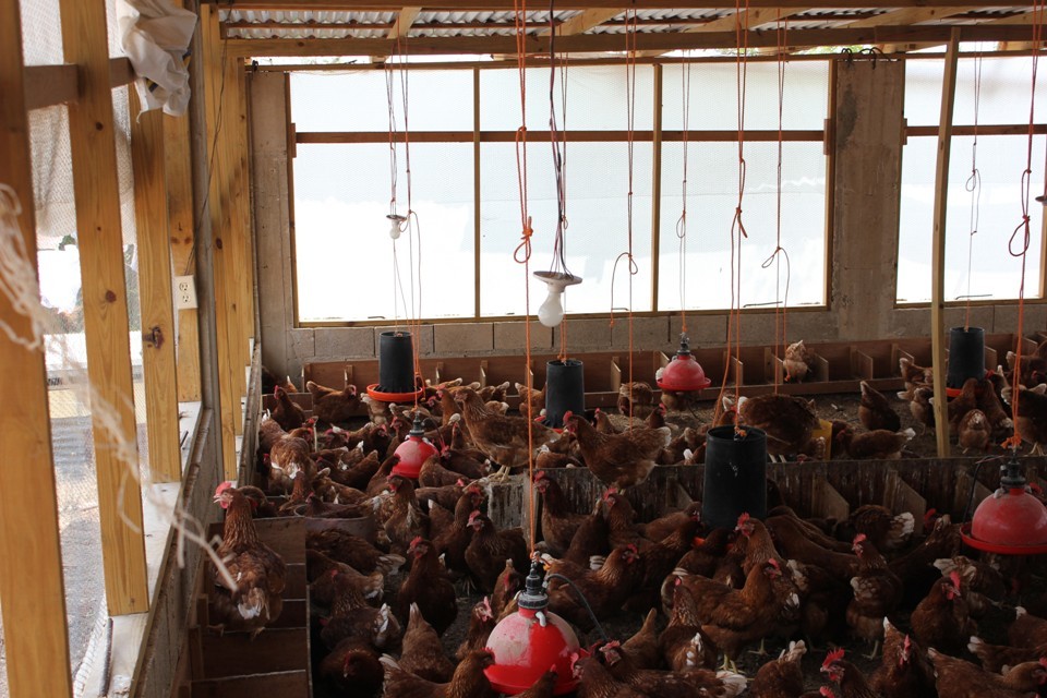 High commission works to improve conditions in Jamaican prisons GOV.UK