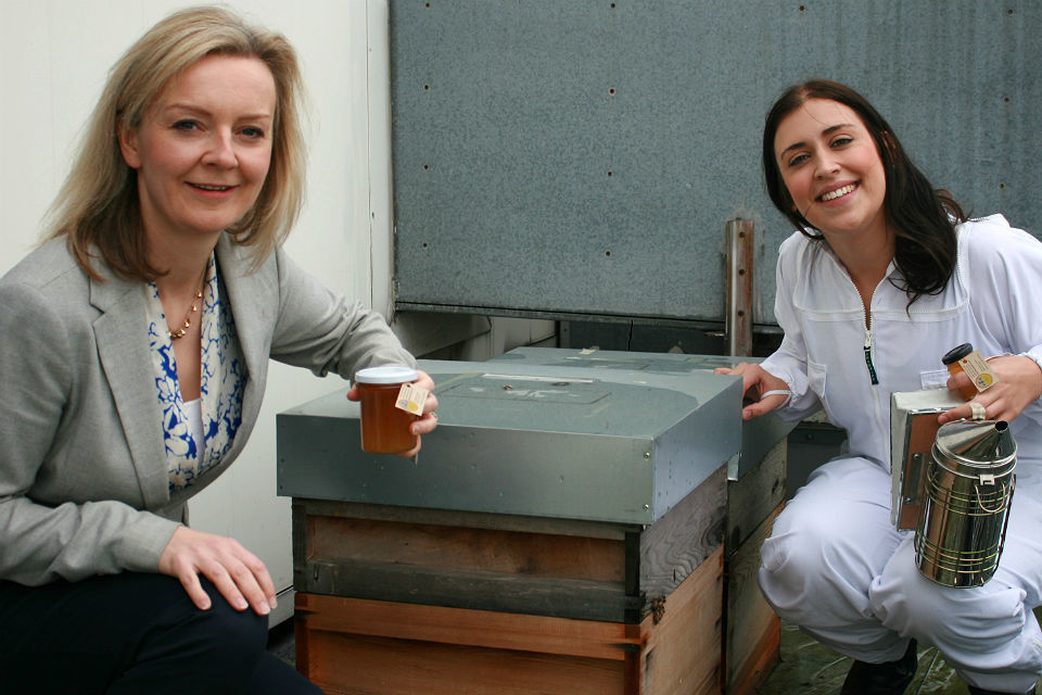 Environment Secretary collects first ‘Whitehall Honey’ during National Honey Week