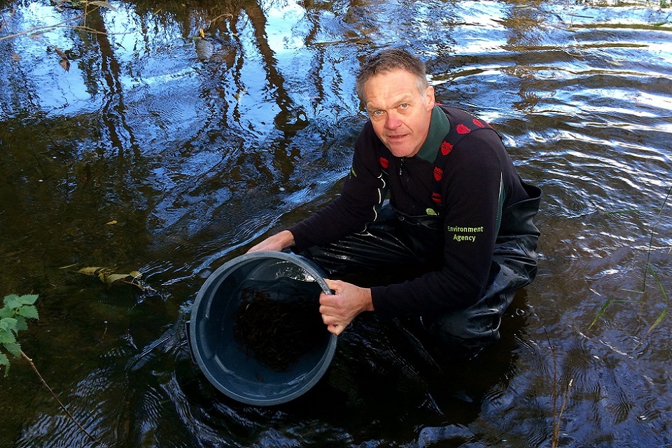 Fish stocks boost for North East rivers (October 2016)