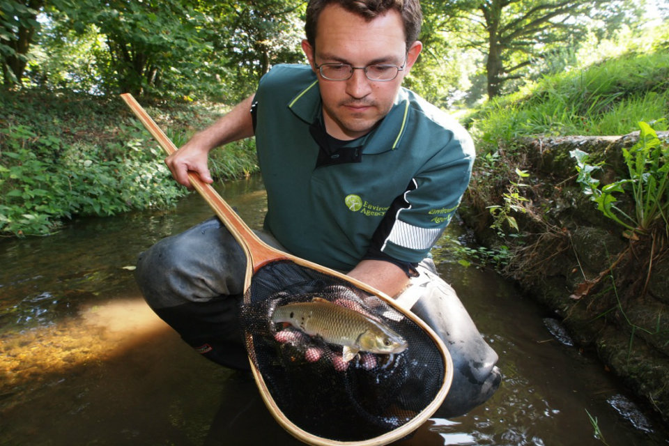 Top 10 fishy facts as the coarse fish river season begins