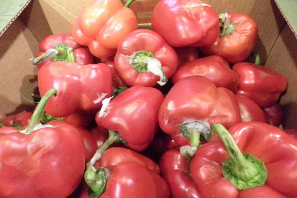 Birmingham fruit and veg wholesaler prosecuted for failing to meet produce standards