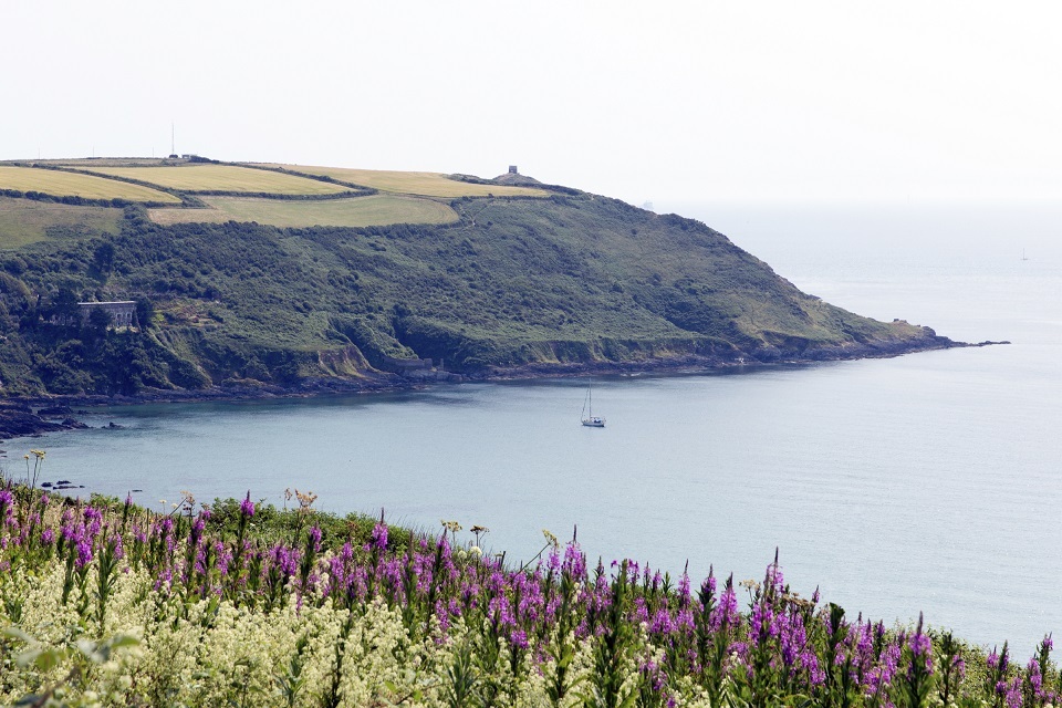 New advice from Cefas on Rame Head