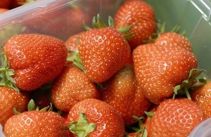 Strawberries