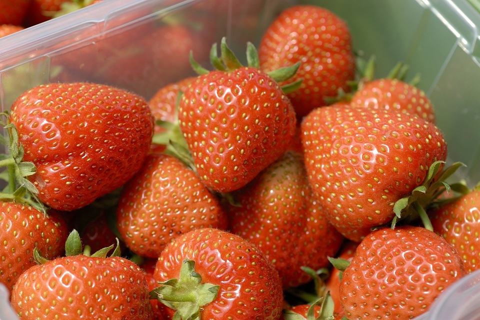 Garden of England cultivates the future for fruit