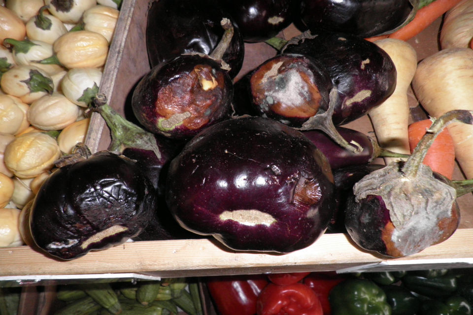 Bristol fresh produce retailer fined after failing to meet marketing standards