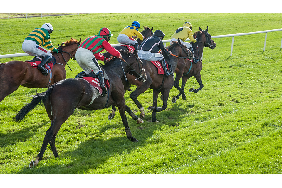 Government boost for Horseracing in Betting Levy Reform