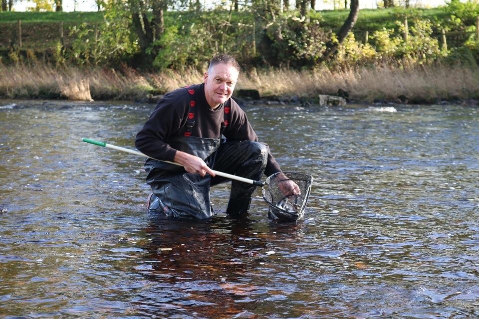 Thousands of fish released into rivers