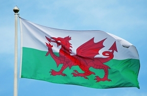 "Wales flag"`