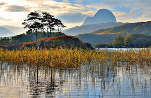 Picture of moutains and grass