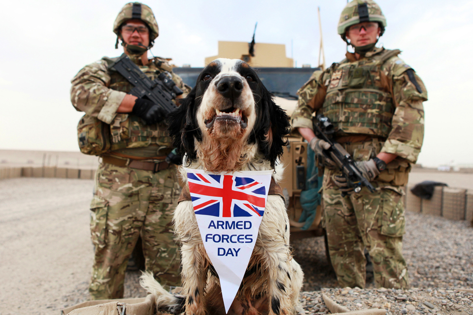100 days to Armed Forces Day 2014