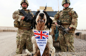 Air dog Memphis from the working dog section at Camp Bastion with 2 soldiers of the Royal Military Police (stock image) [Picture: Sergeant Alison Baskerville, Crown copyright]