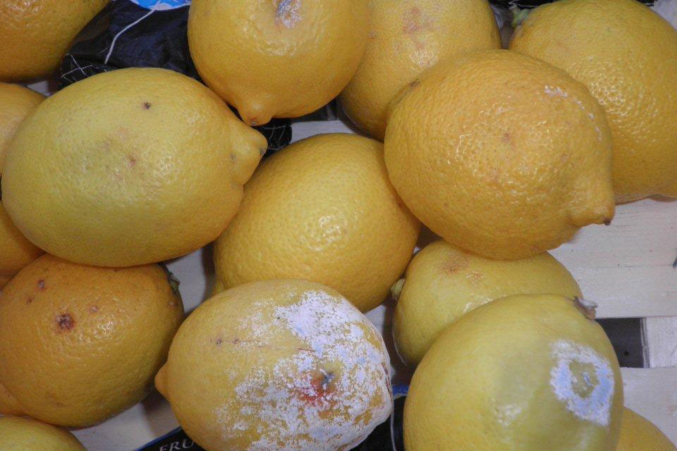 Bristol shopkeeper fined for rotten fruit and vegetables offences