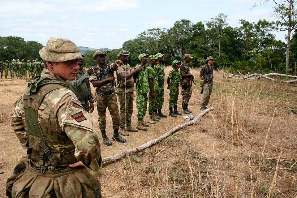 British Forces support Gabon's fight against elephant poachers