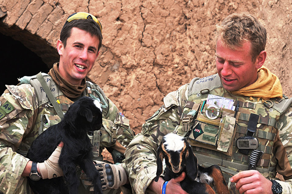British troops teach animal care in Helmand