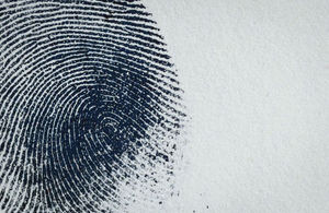 fingerprint