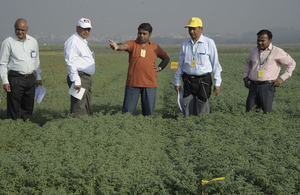 Rajeev (centre) explaining the importance of genome-enabled breeding in chickpea improvement at ICRISAT, India. L–R: SK Chaturvedi, Head of Crop Improvement, Indian Institute of Pulses Research (IIPR); NP Singh, Coordinator- All India Coordinated Research