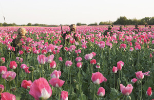 Troops patrol through a poppy field