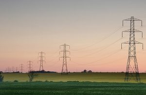 Electricity pylons by Ian Britton