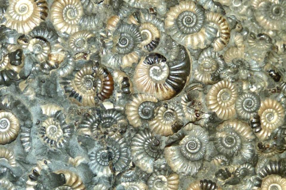 Geodiversity Charter for England launched