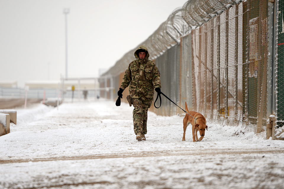 A handler walks her dog along a snow-covered road