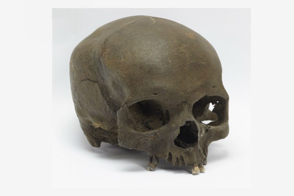 Human skull found by dog walker sheds light on Somerset's history