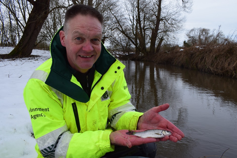 North east rivers get fish stocks boost