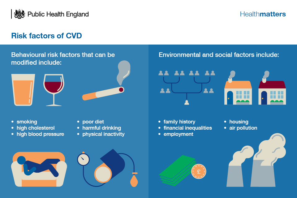 Infographic showing risk factors for CVD