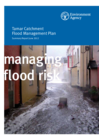 Tamar: Catchment flood management plan - GOV.UK