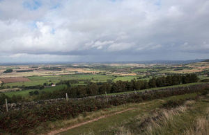 Woodland copse in farmland