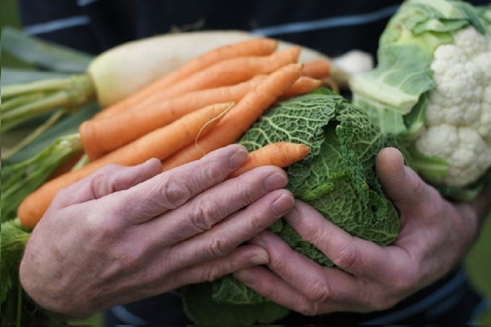 New measures to help farmers and growers in the food supply chain