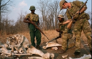 The Ministry of Defence is ramping up its efforts to stop animals being cruelly hunted in Malawi