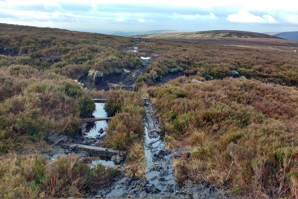 Peatlands to be restored in the North West