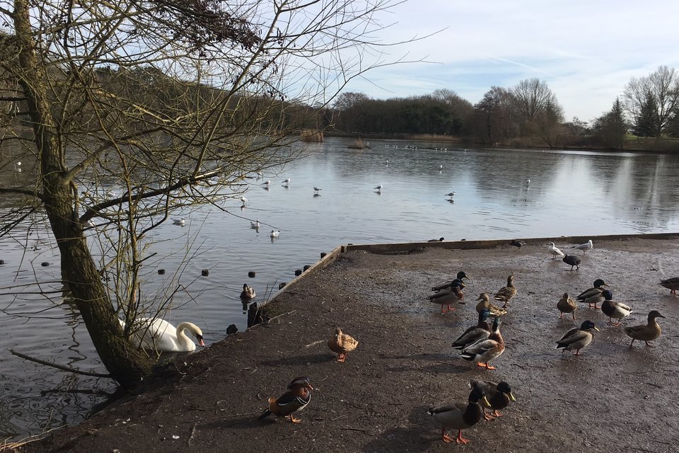Water quality returns to ‘safe’ following Heanor chemical spill