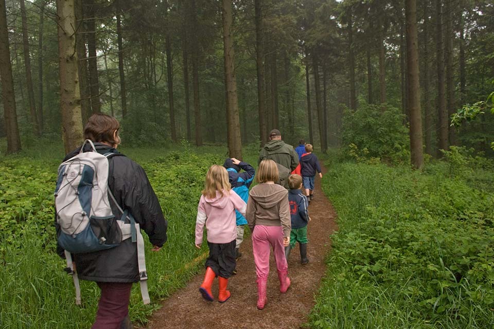 £450,000 of HS2 government funding to deliver woodland hub for communities in heart of Buckinghamshire
