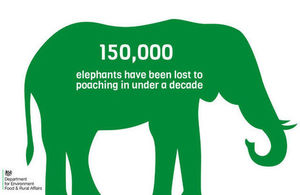 Infographic showing that 150,000 elephants have been lost to poaching in under a decade