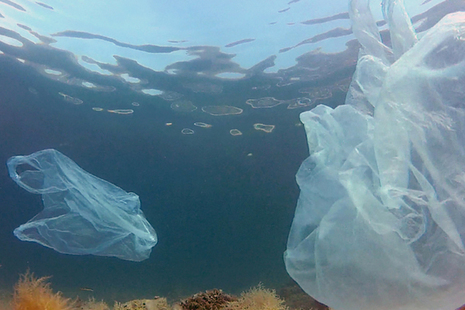 Image or plastic bags floating in water